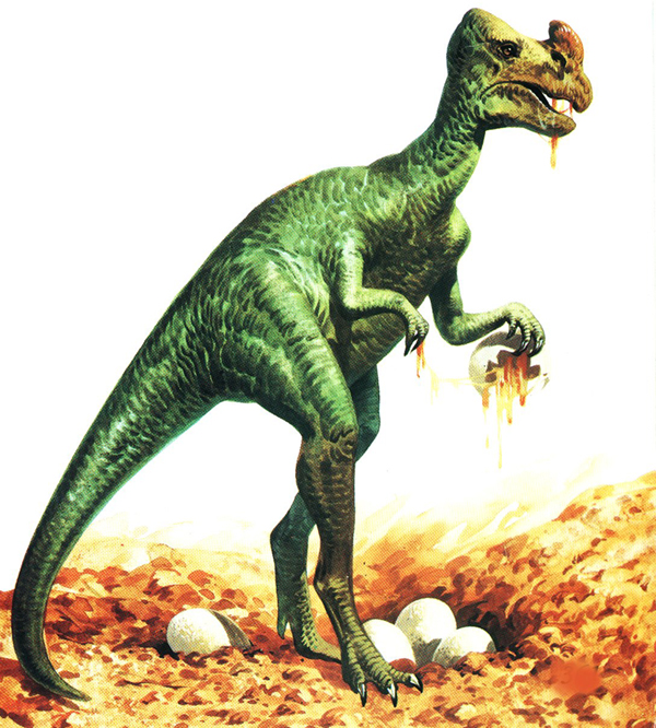 oviraptor04bis