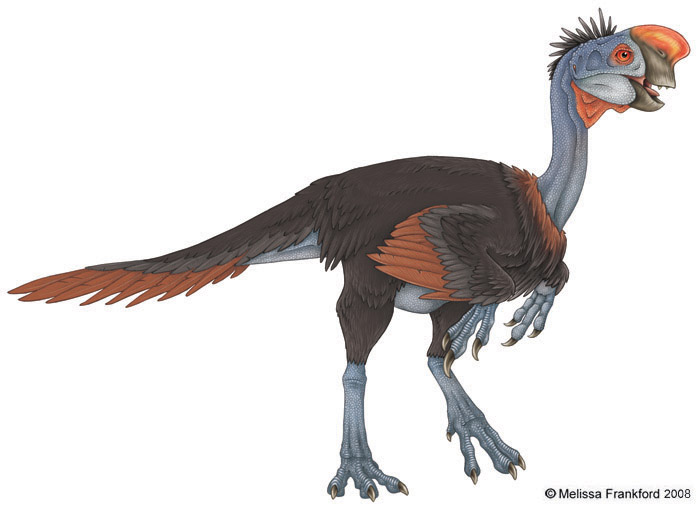 Oviraptor_Philoceratops_by_mmfrankford