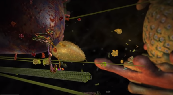 Cellular Design | sixdaysblog
